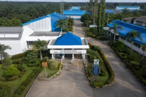Gaji Karyawan PT Lonsum dari Staff hingga Asisten Kebun